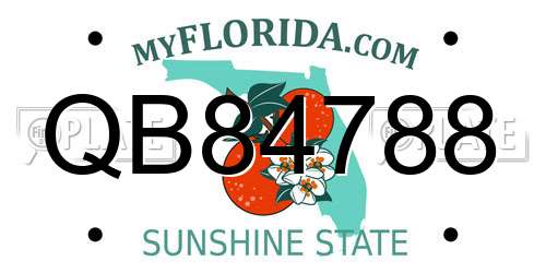 QB84788 Florida License Plate
