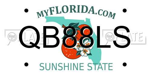 QB88LS Florida License Plate