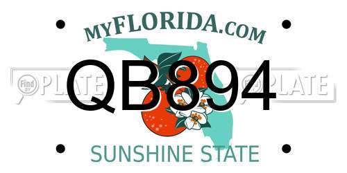 QB894 Florida License Plate