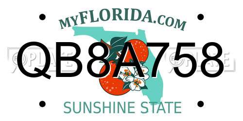 QB8A758 Florida License Plate