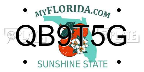 QB9T5G Florida License Plate