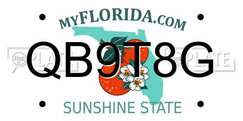 QB9T8G Florida License Plate