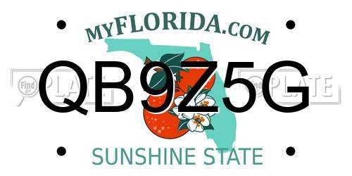 QB9Z5G Florida License Plate