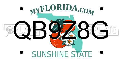 QB9Z8G Florida License Plate