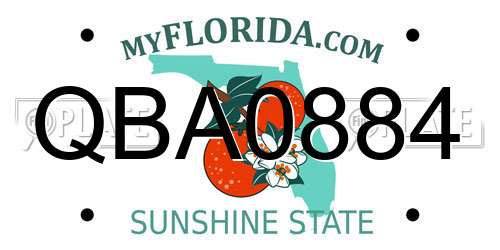 QBA0884 Florida License Plate