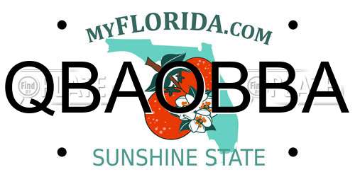 QBAOBBA Florida License Plate
