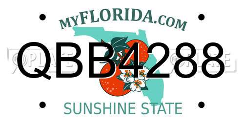 QBB4288 Florida License Plate