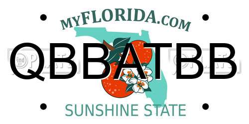 QBBATBB Florida License Plate