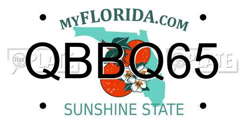 QBBQ65 Florida License Plate