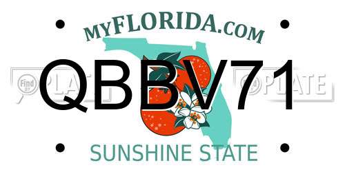 QBBV71 Florida License Plate