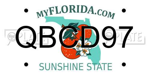 QBCD97 Florida License Plate