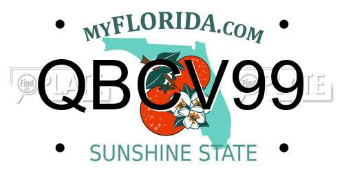 QBCV99 Florida License Plate