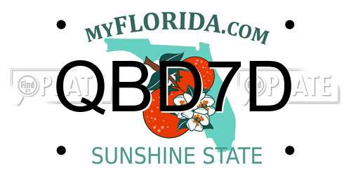 QBD7D Florida License Plate