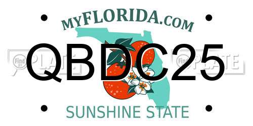 QBDC25 Florida License Plate