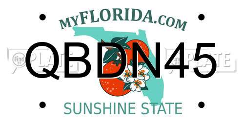 QBDN45 Florida License Plate