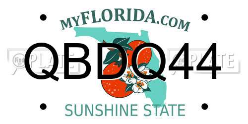 QBDQ44 Florida License Plate