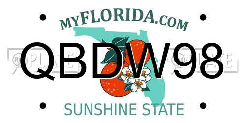 QBDW98 Florida License Plate