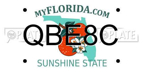 QBE8C Florida License Plate