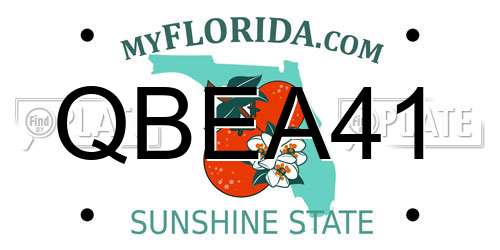 QBEA41 Florida License Plate