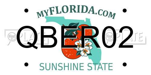 QBER02 Florida License Plate