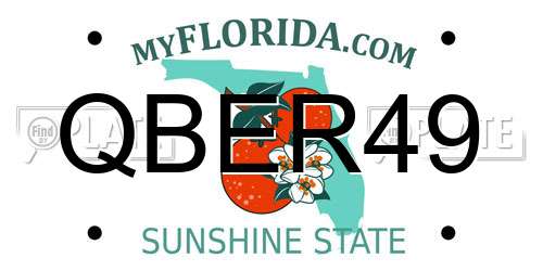 QBER49 Florida License Plate