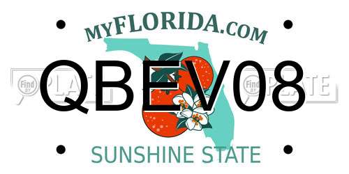 QBEV08 Florida License Plate