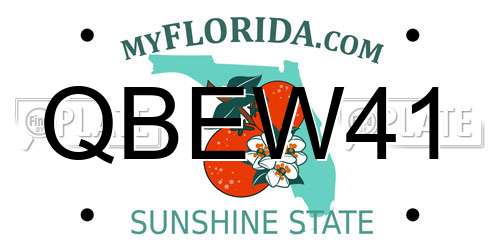 QBEW41 Florida License Plate