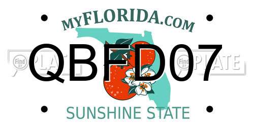 QBFD07 Florida License Plate