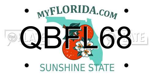 QBFL68 Florida License Plate