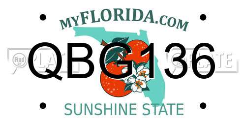 QBG136 Florida License Plate