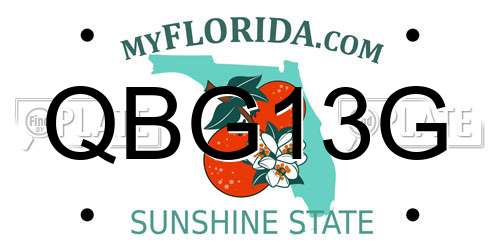 QBG13G Florida License Plate