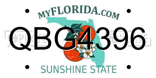 QBG4396 Florida License Plate