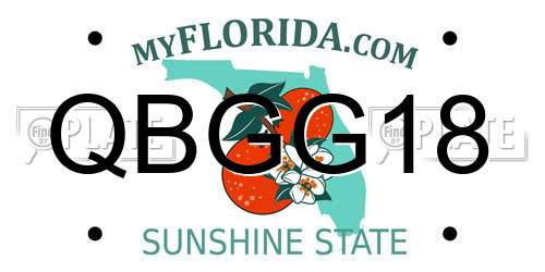 QBGG18 Florida License Plate