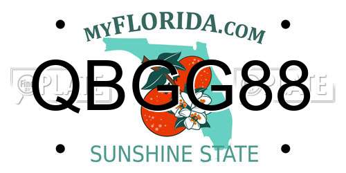 QBGG88 Florida License Plate