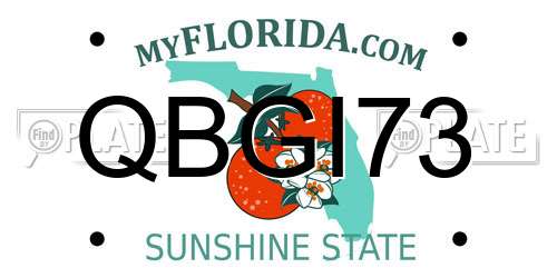 QBGI73 Florida License Plate