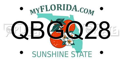 QBGQ28 Florida License Plate