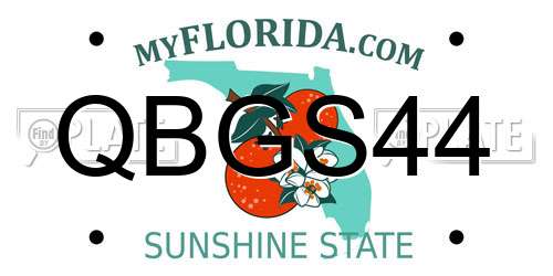 QBGS44 Florida License Plate