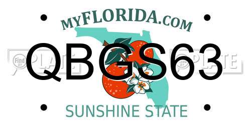 QBGS63 Florida License Plate