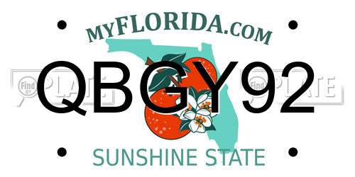 QBGY92 Florida License Plate