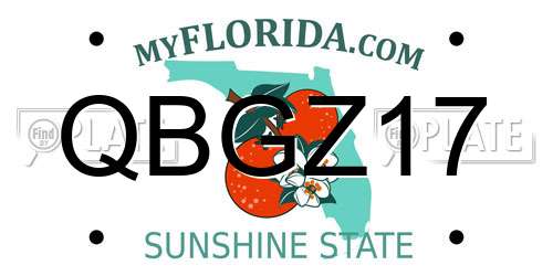 QBGZ17 Florida License Plate