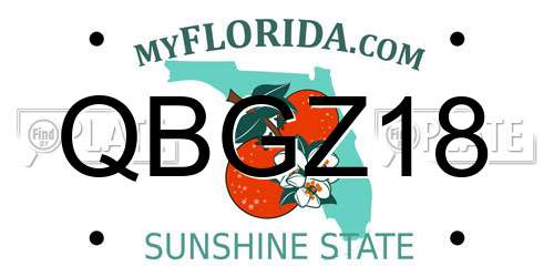 QBGZ18 Florida License Plate