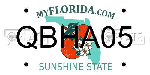QBHA05 Florida License Plate