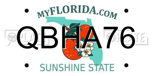 QBHA76 Florida License Plate