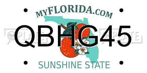 QBHG45 Florida License Plate