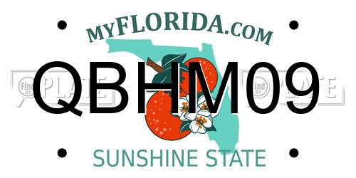 QBHM09 Florida License Plate