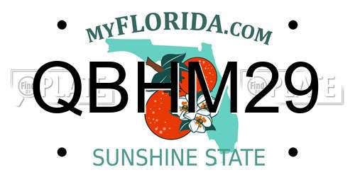 QBHM29 Florida License Plate