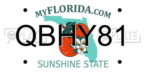 QBHY81 Florida License Plate