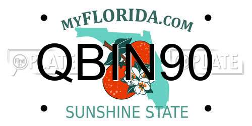 QBIN90 Florida License Plate