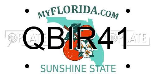 QBIR41 Florida License Plate