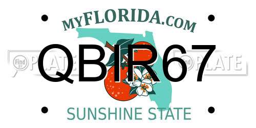 QBIR67 Florida License Plate